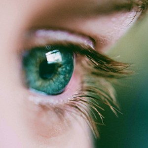 Someone watching chess - invigilation