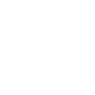 Lock icon
